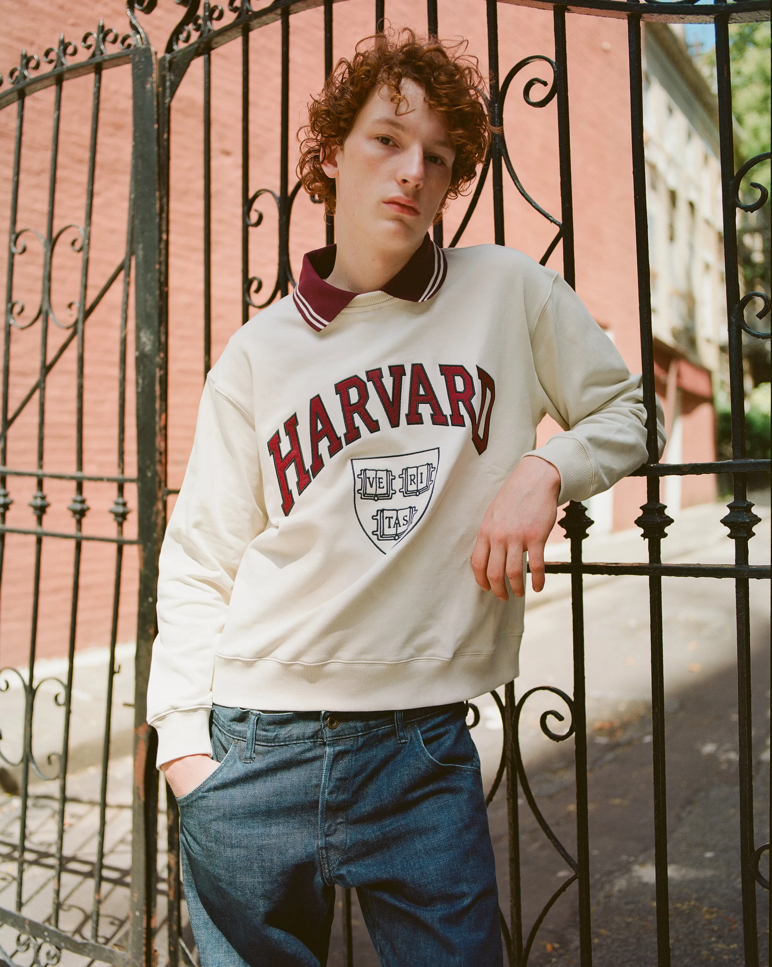 Harvard University Collard Crewneck Sweatshirt sold by Ebbets Field Flannels product image thumbnail 2