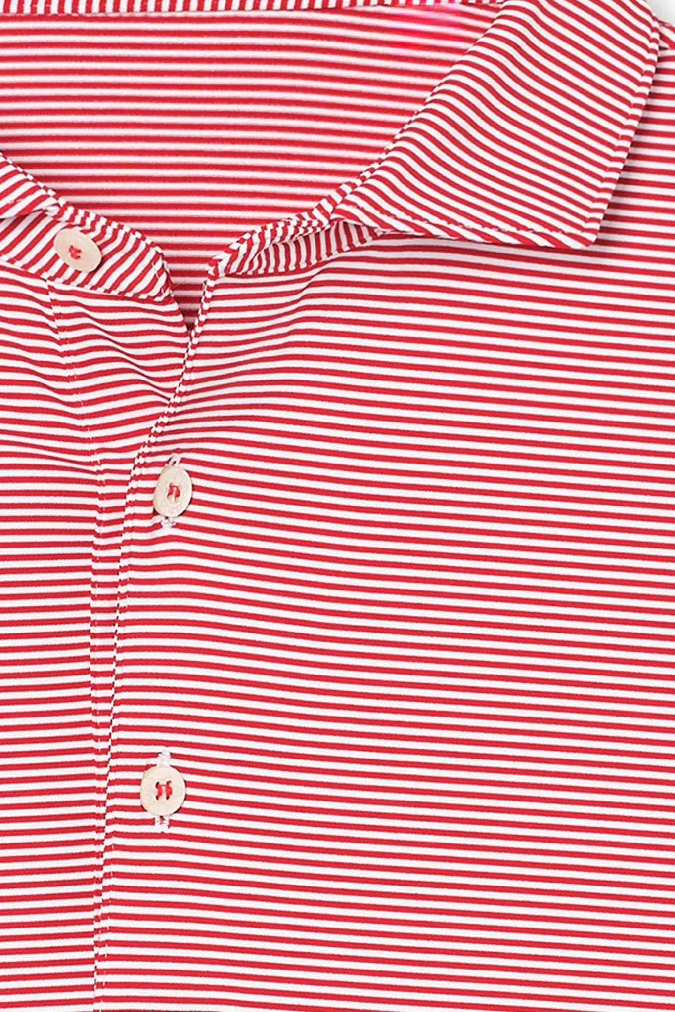 Collier Polo - University of Alabama sold by Turtleson product image thumbnail 4