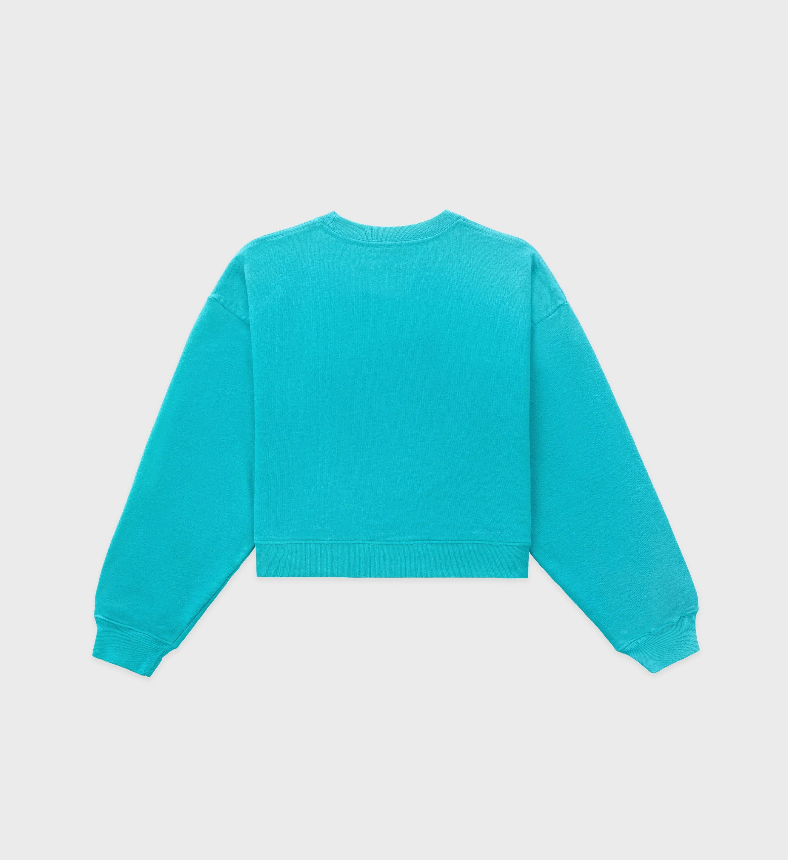 NY Country Club Cropped Crewneck - Teal sold by Sporty and Rich product image thumbnail 2