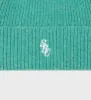 SRC Wool Beanie - Spring Green/White sold by Sporty and Rich