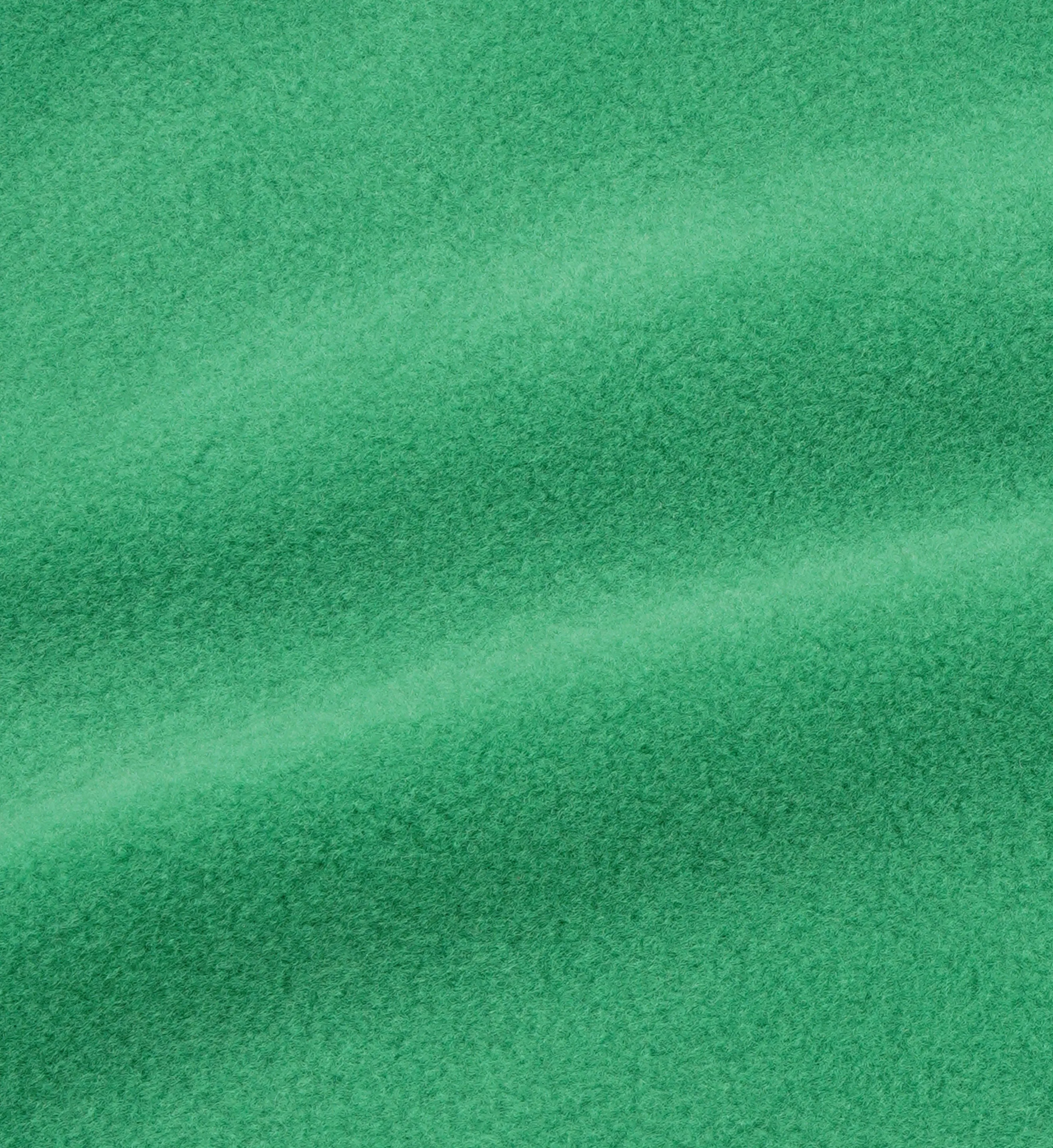 Hooded Polar Sweatshirt - Kelly sold by Sporty and Rich product image thumbnail 4