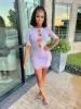 Dynasty Mesh Panel Mini Dress - Lilac sold by Sassyluxe