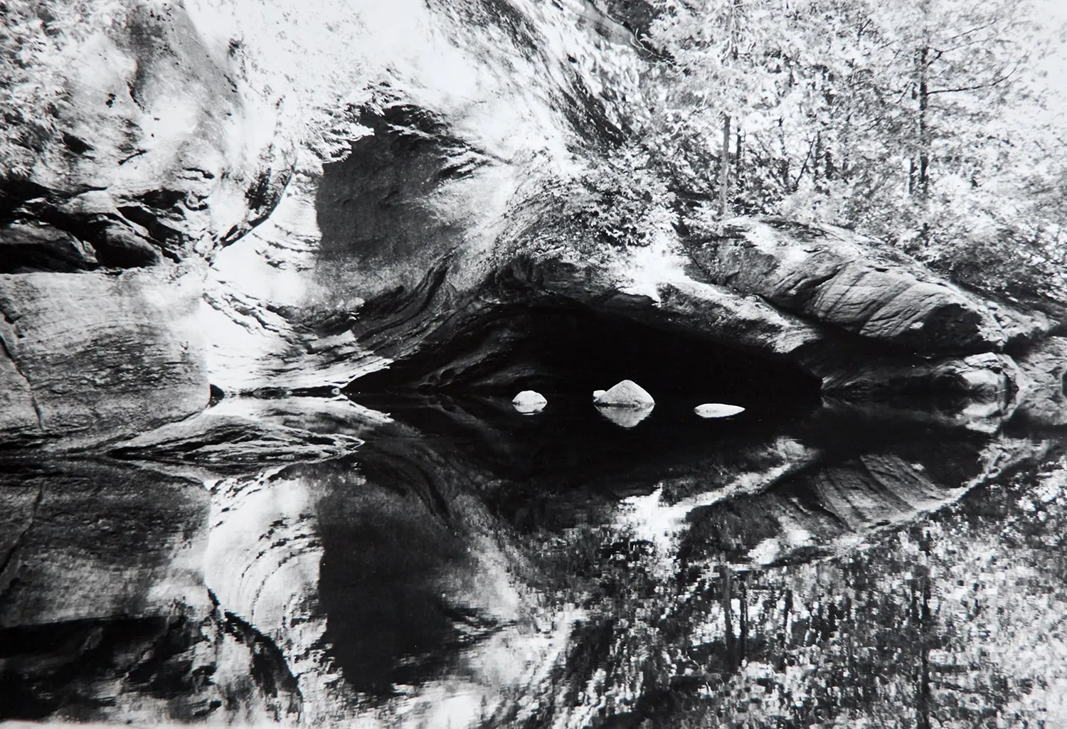 Silk Scarf - Nature Rectangle sold by Babs Boutique product image thumbnail 5