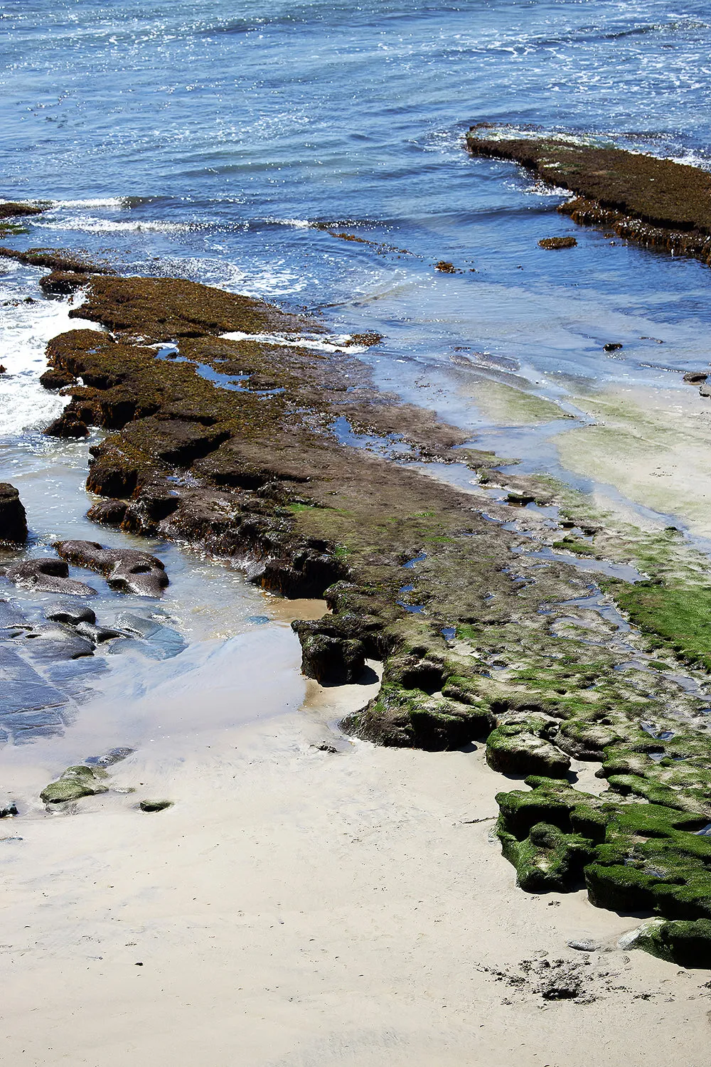 Babs Eco-chic scrunchies - California Beach Print - Set of 3 Sizes sold by Babs Boutique product image thumbnail 2