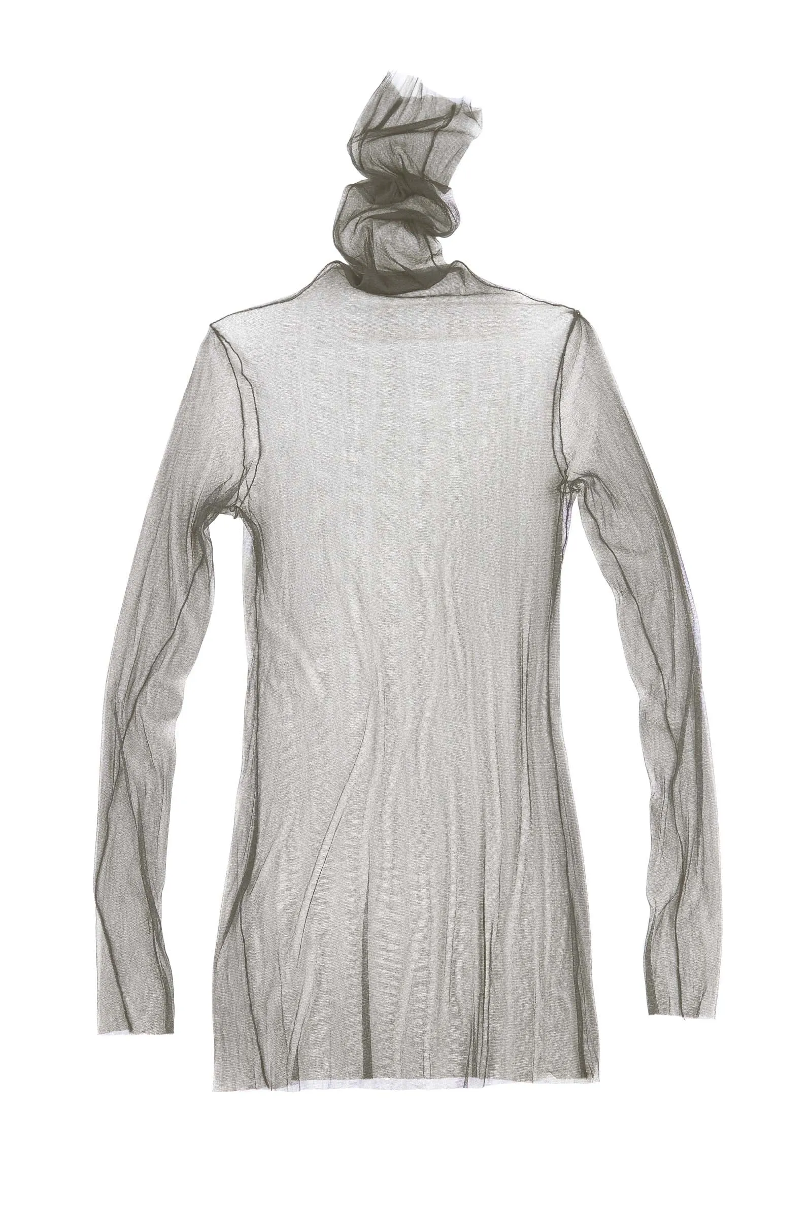 Cisne de Tul chestnut sold by Cortana