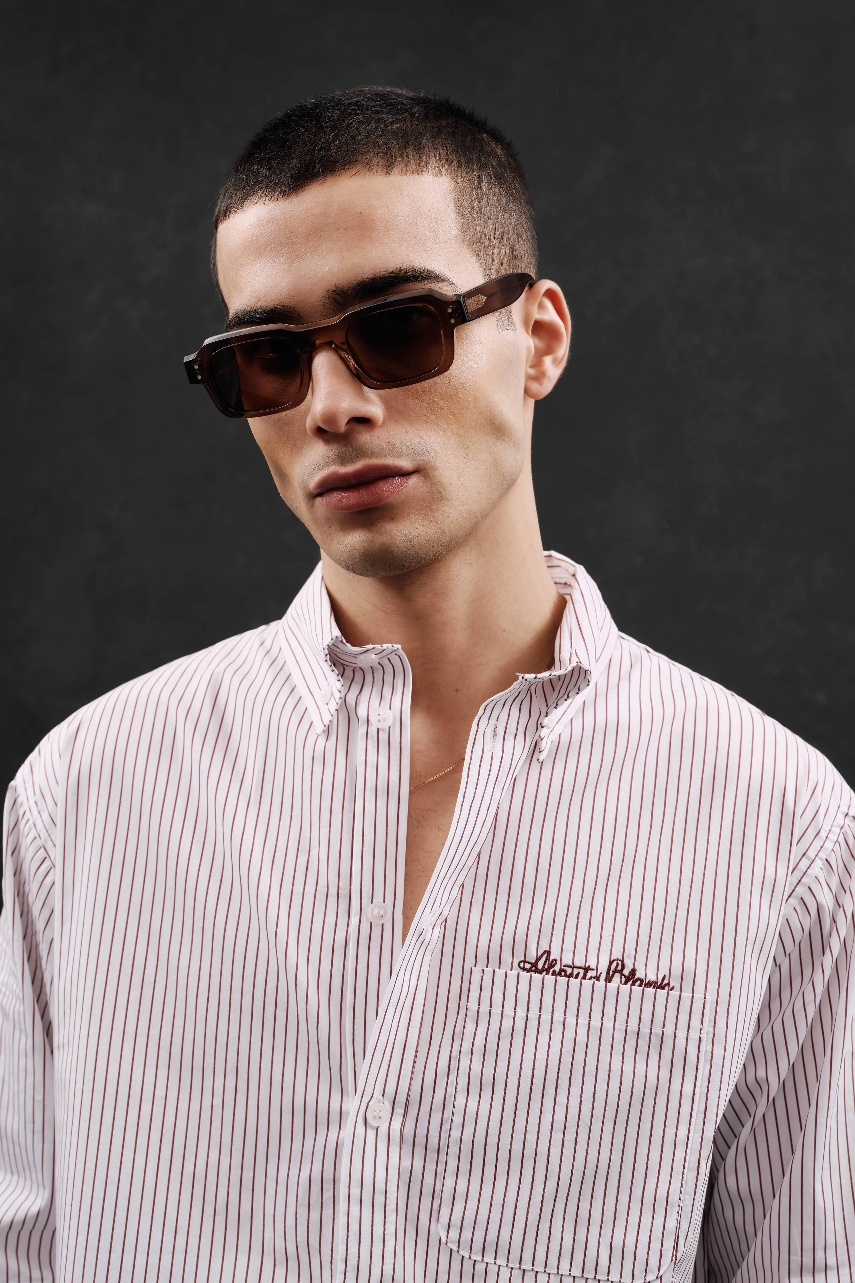 striped oxford shirt white/burg sold by about:blank product image thumbnail 3