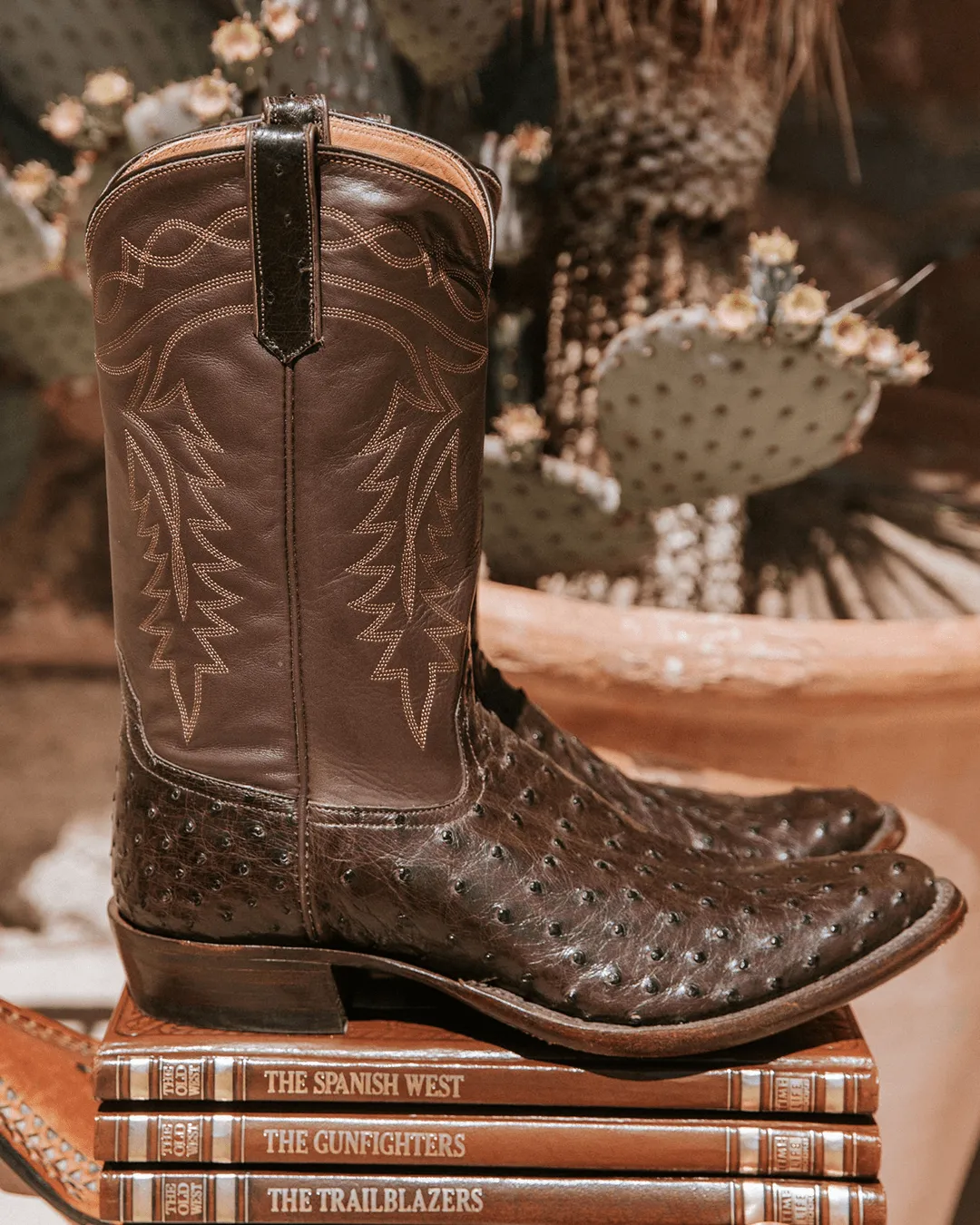 Coley Chocolate Ostrich sold by Miron Crosby product image thumbnail 5