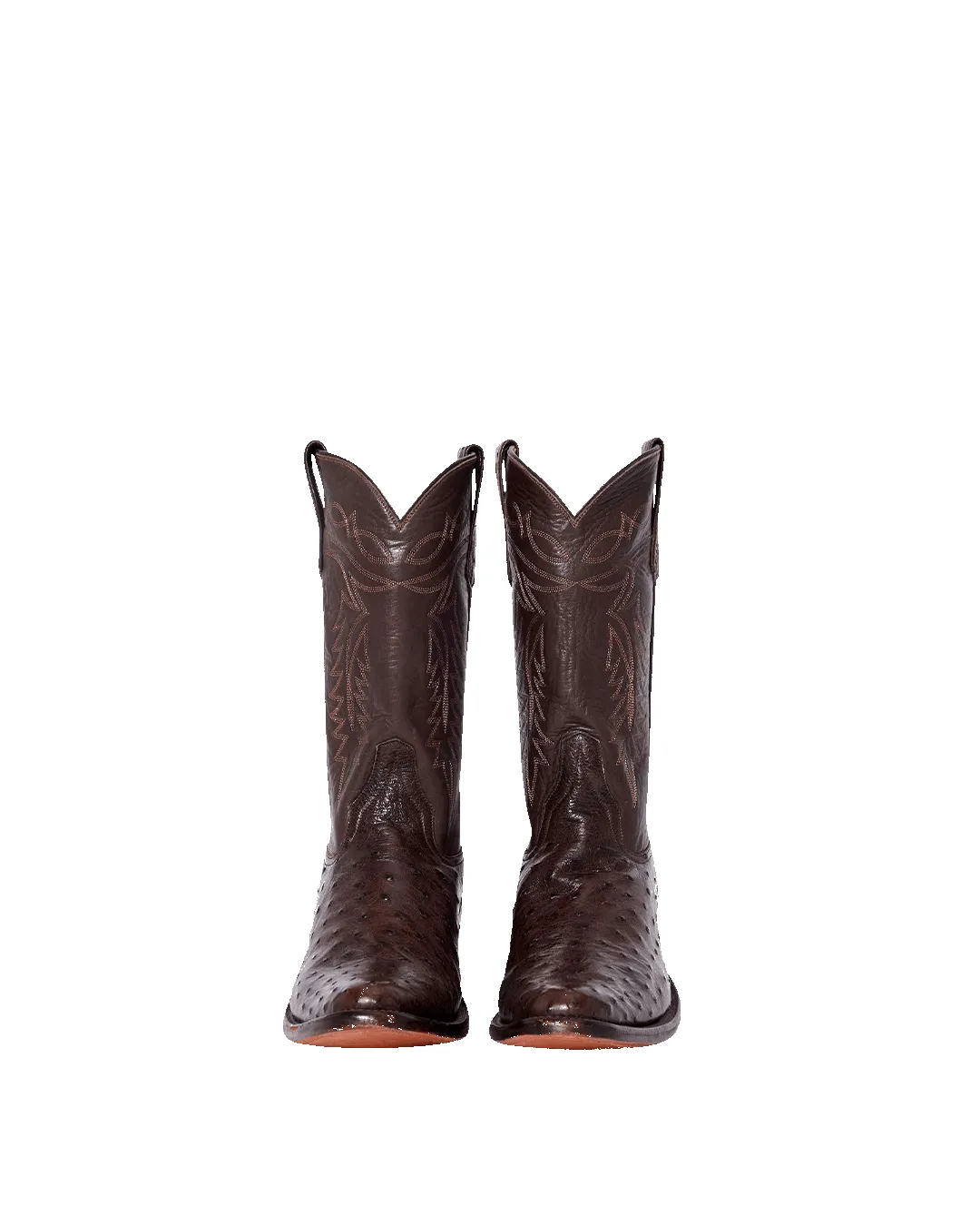 Coley Chocolate Ostrich sold by Miron Crosby product image thumbnail 2