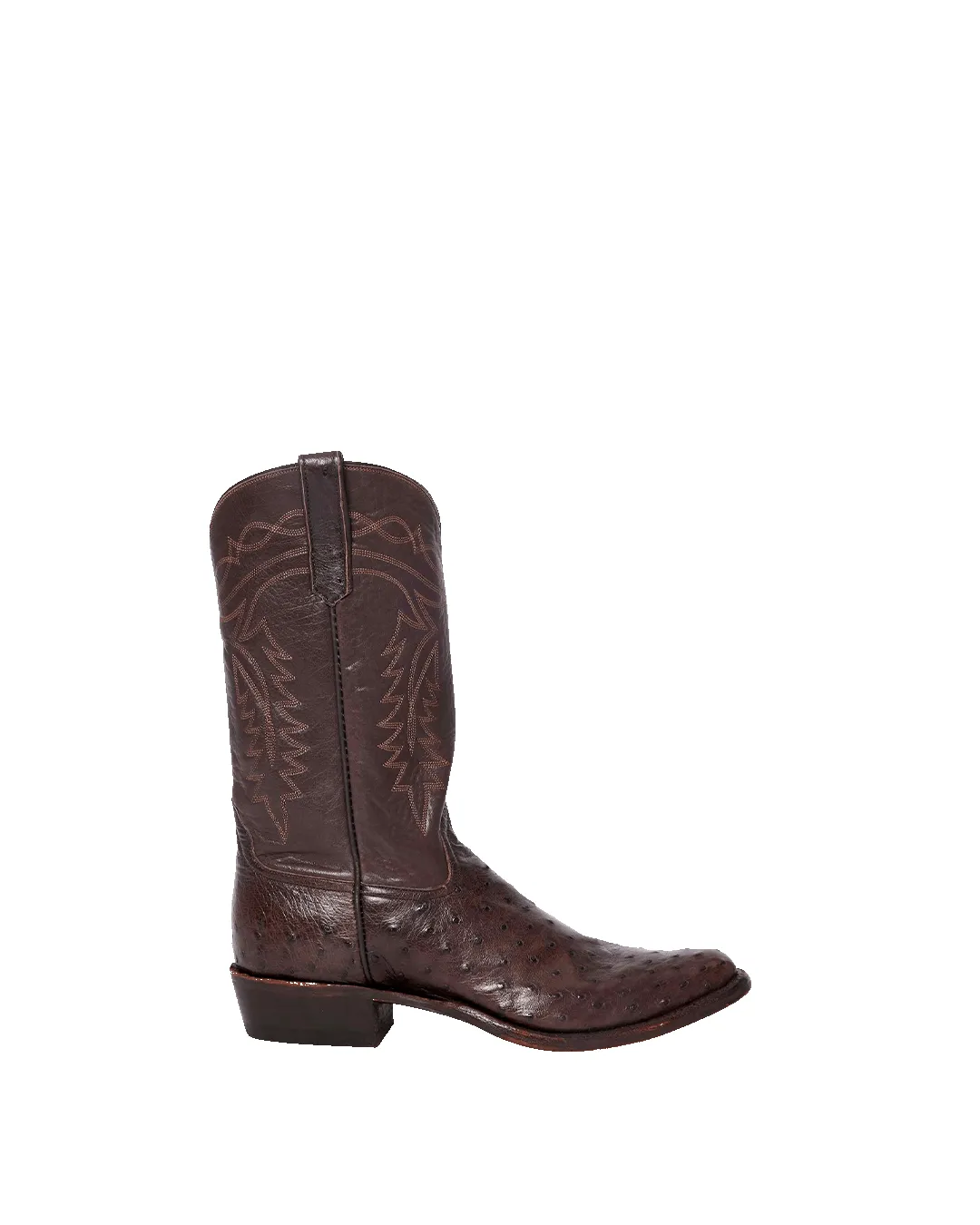 Coley Chocolate Ostrich sold by Miron Crosby