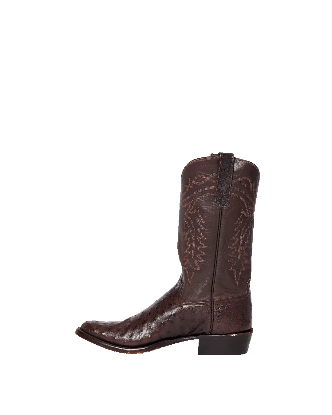 Coley Chocolate Ostrich sold by Miron Crosby product image thumbnail 4