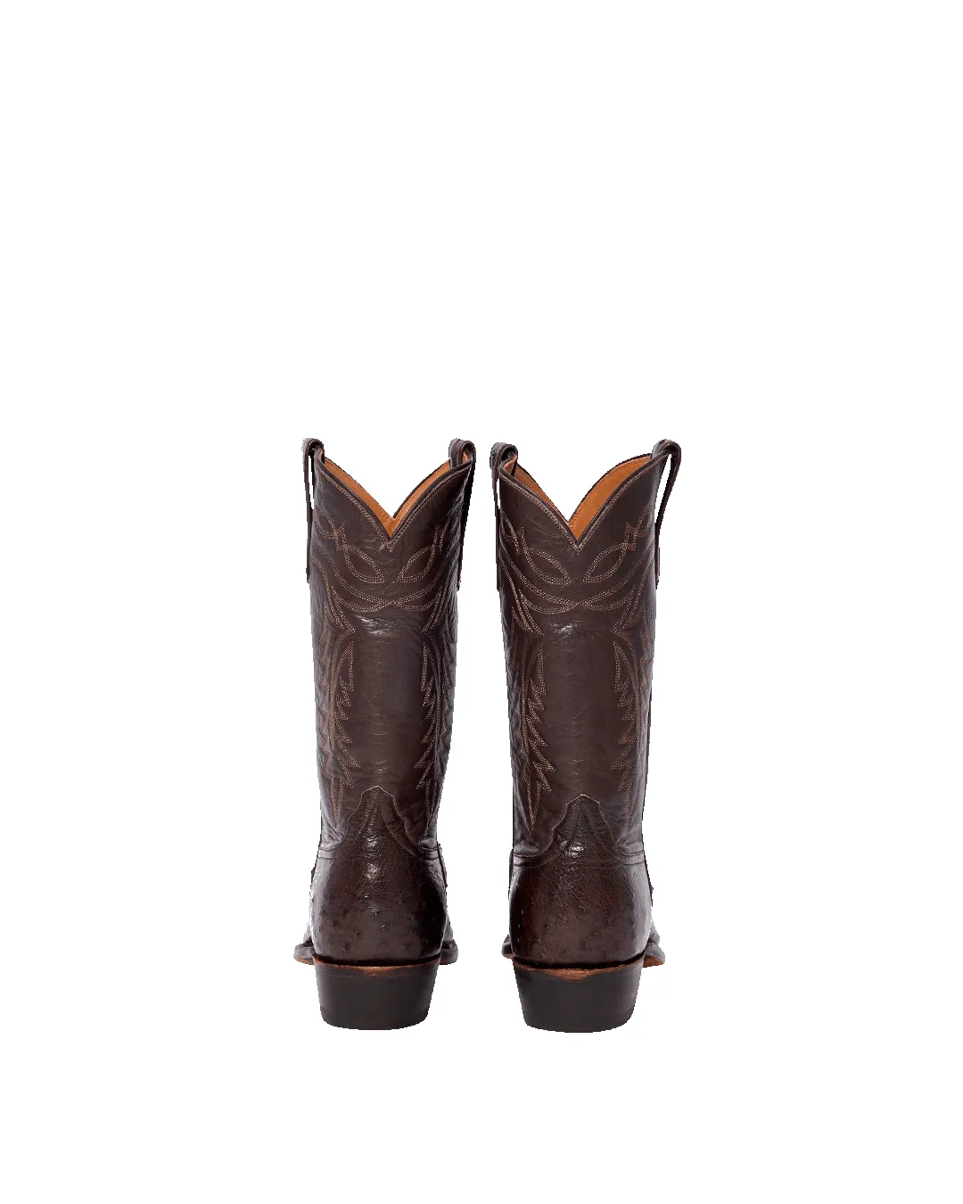 Coley Chocolate Ostrich sold by Miron Crosby product image thumbnail 3