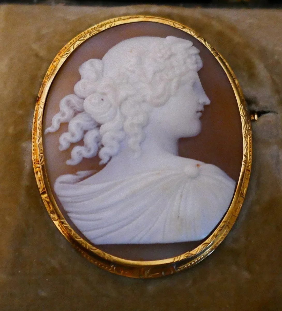 Broche Camée Sur Coquillage, Or Jaune sold by 58 Facettes product image thumbnail 5