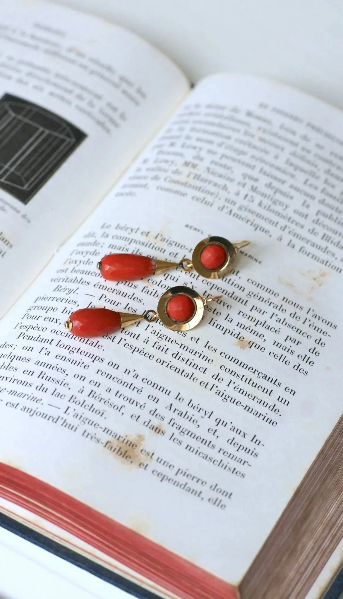 Boucles d'Oreilles Gouttes Corail sold by 58 Facettes product image thumbnail 3