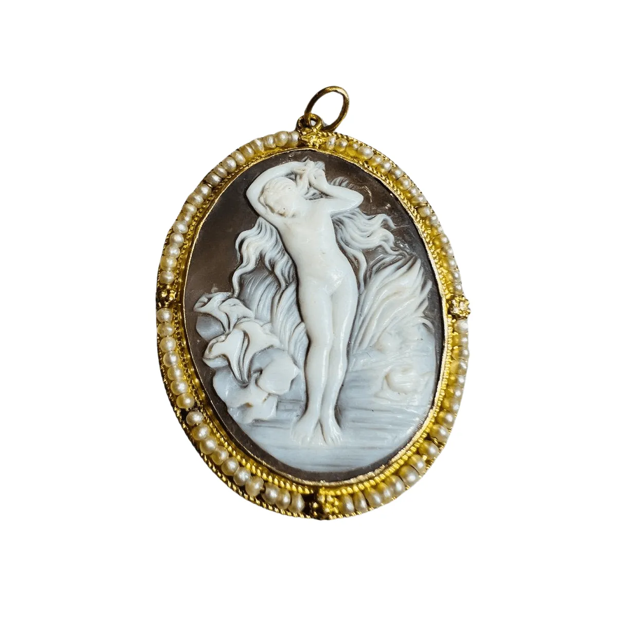 Camée Coquillage Et Perles Fines sold by 58 Facettes