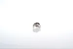 Boucles d'oreilles puces diamants sold by 58 Facettes
