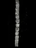 Bracelet rivière or blanc diamants 5,40 carats sold by 58 Facettes