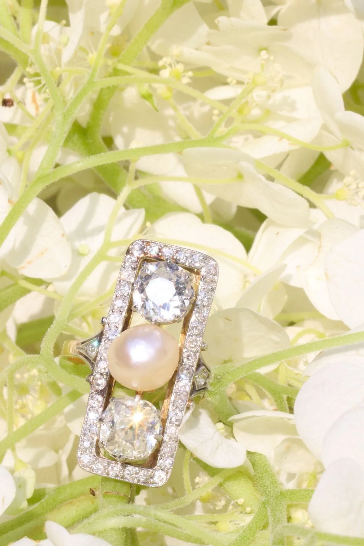 L'héritage de l'amour : faire le pont entre déco et romance sold by 58 Facettes product image thumbnail 2