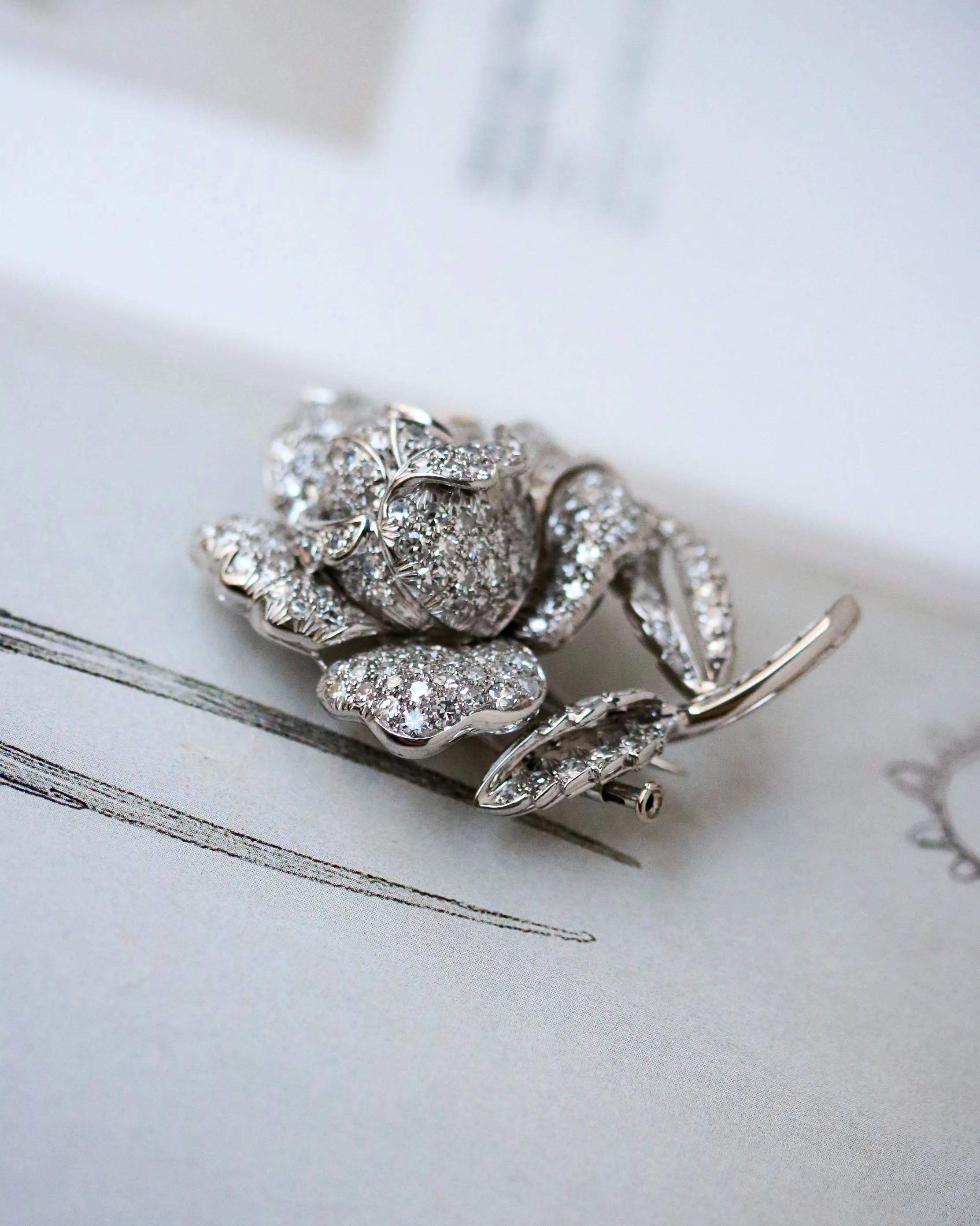 Broche rose pavée de diamants en or blanc et platine sold by 58 Facettes product image thumbnail 3
