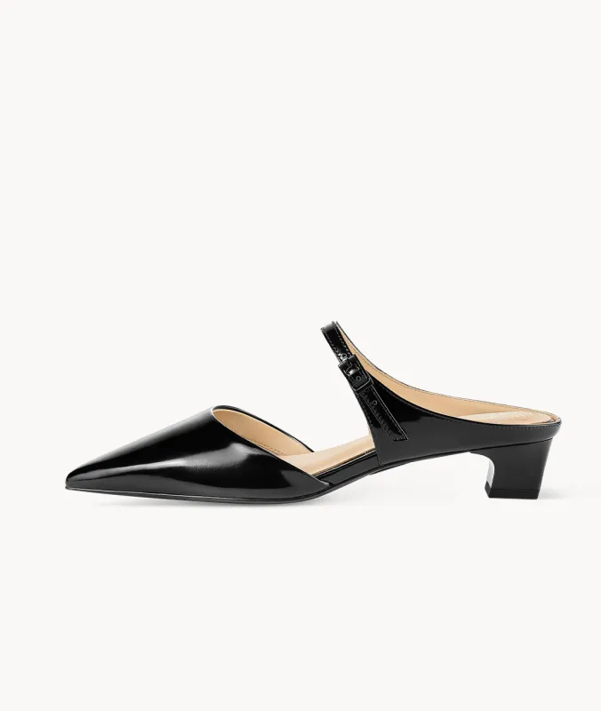 Cymbidium Sinense Mule - Final Sale sold by 7OR9