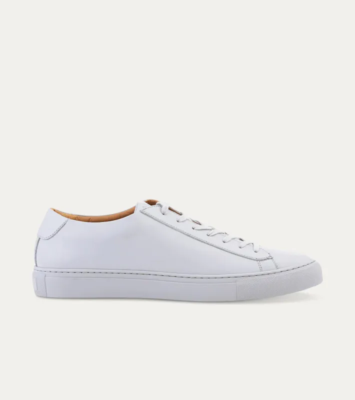 Dress Sneaker in Grey-Grey sold by Ace Marks