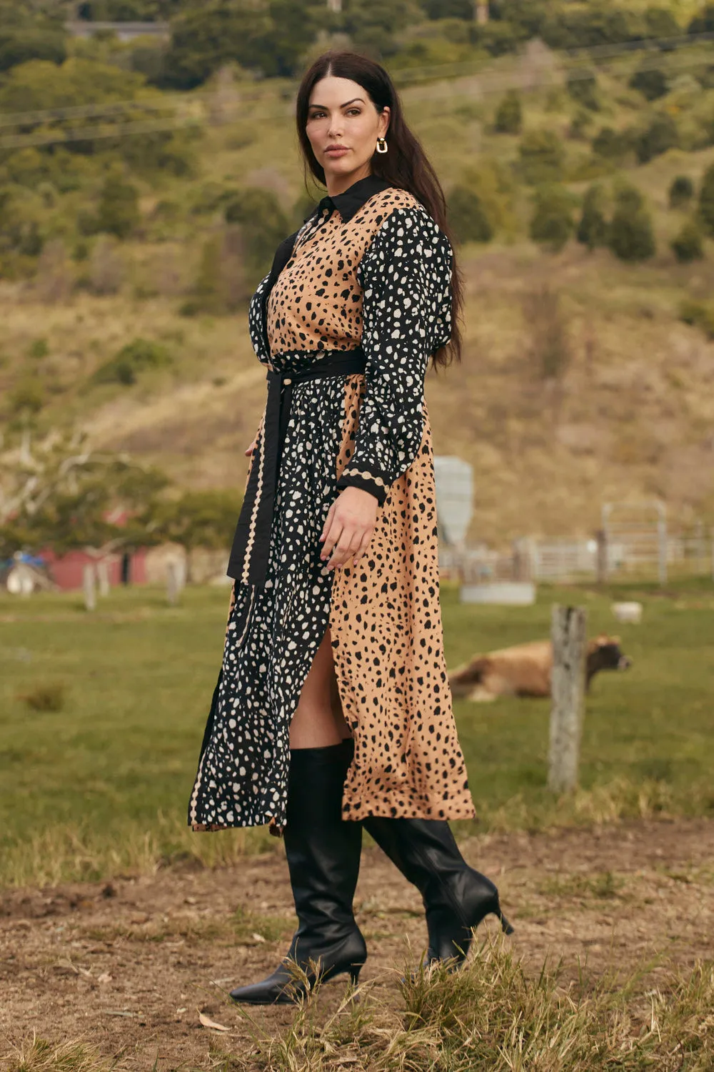 Gracie Tie Dress in Bold Harmony sold by Adrift product image thumbnail 3