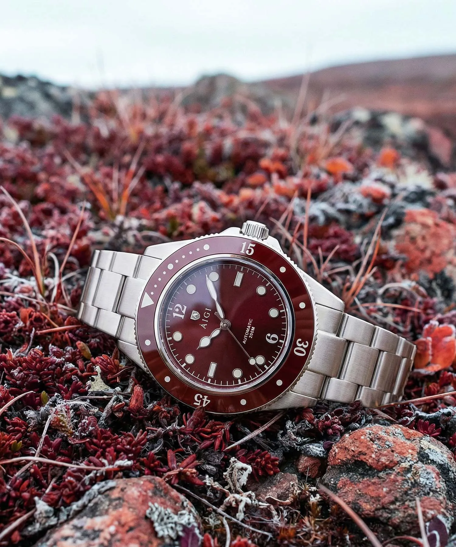 ARCTIC TIDE - RED TUNDRA sold by Aigi Time product image thumbnail 4