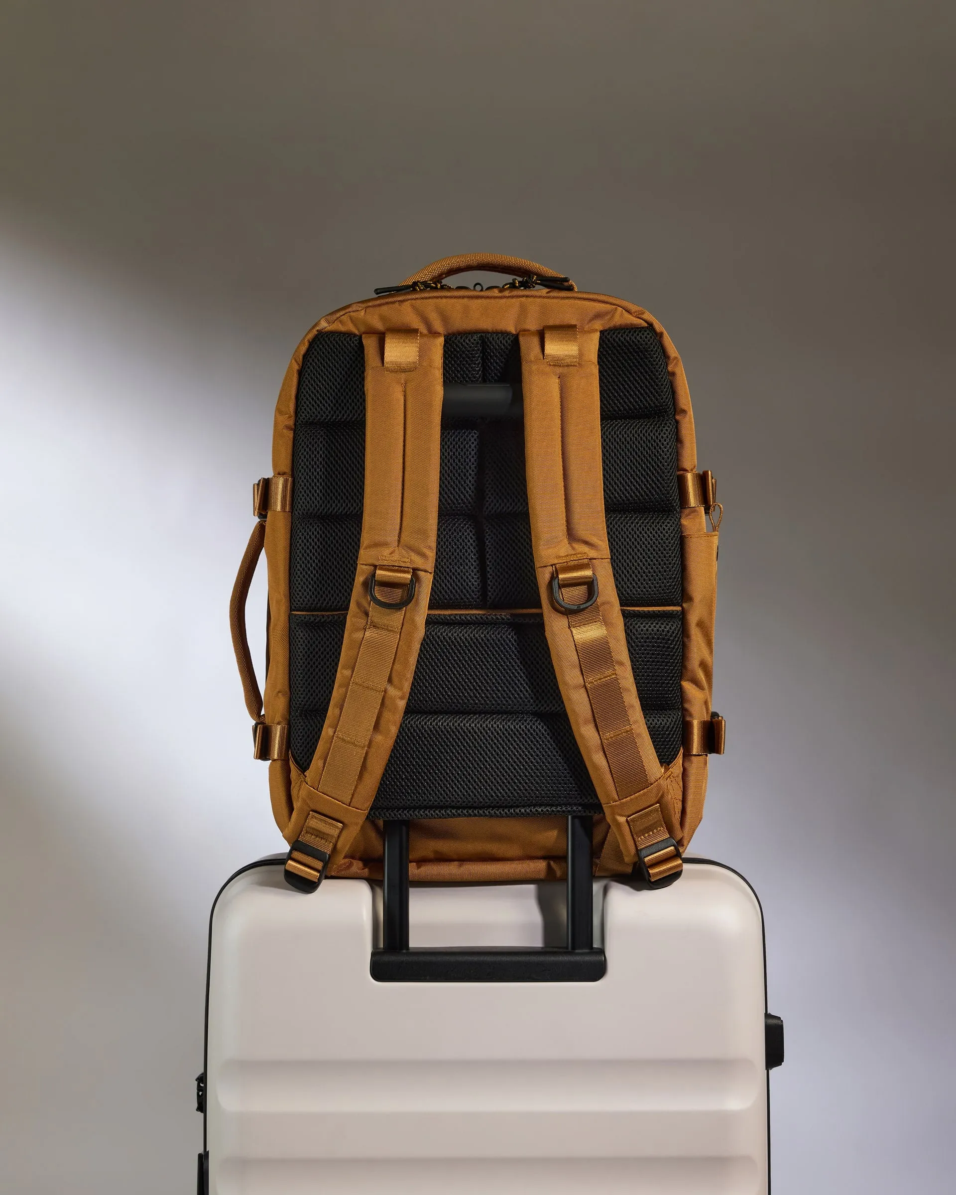 Discovery Backpack in Mustard Yellow sold by Antler product image thumbnail 5