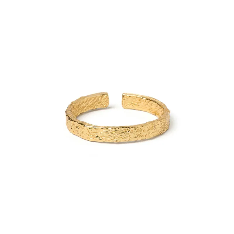 Eros Gold Textured Ring - Small sold by Arms Of Eve