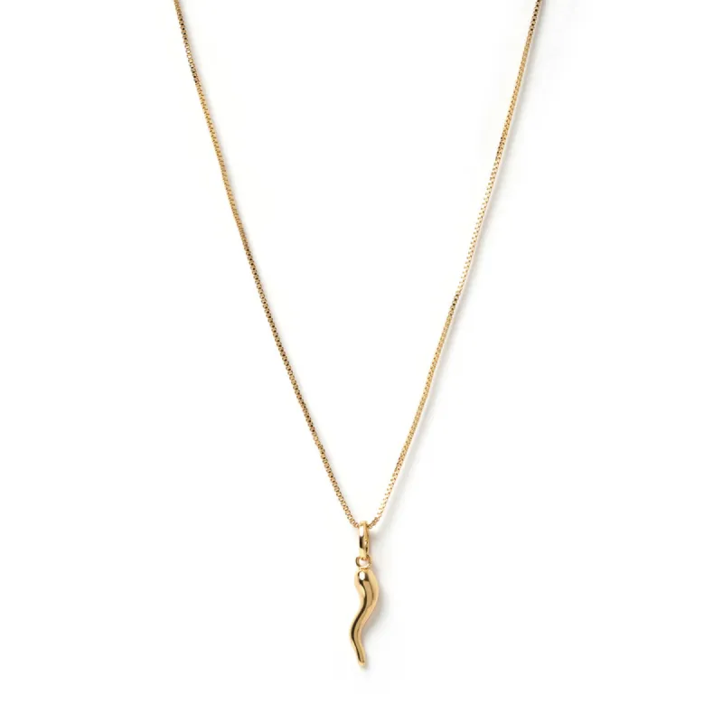Cornicello Gold Charm Necklace - Large sold by Arms Of Eve