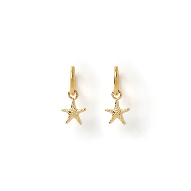 Sea Star Gold Earrings sold by Arms Of Eve