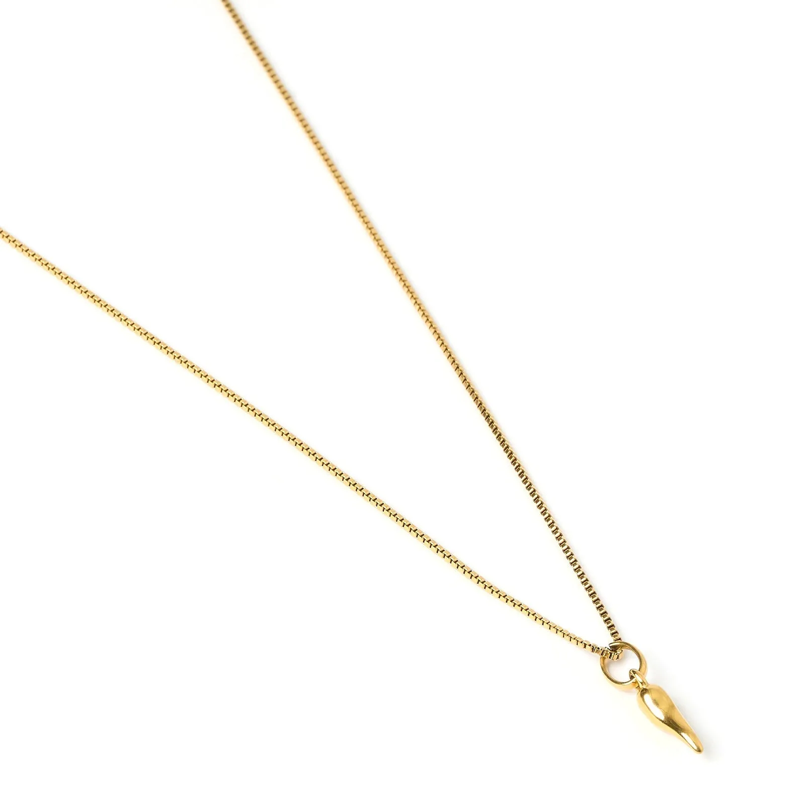 Cornicello Gold Charm Necklace - Small sold by Arms Of Eve product image thumbnail 3