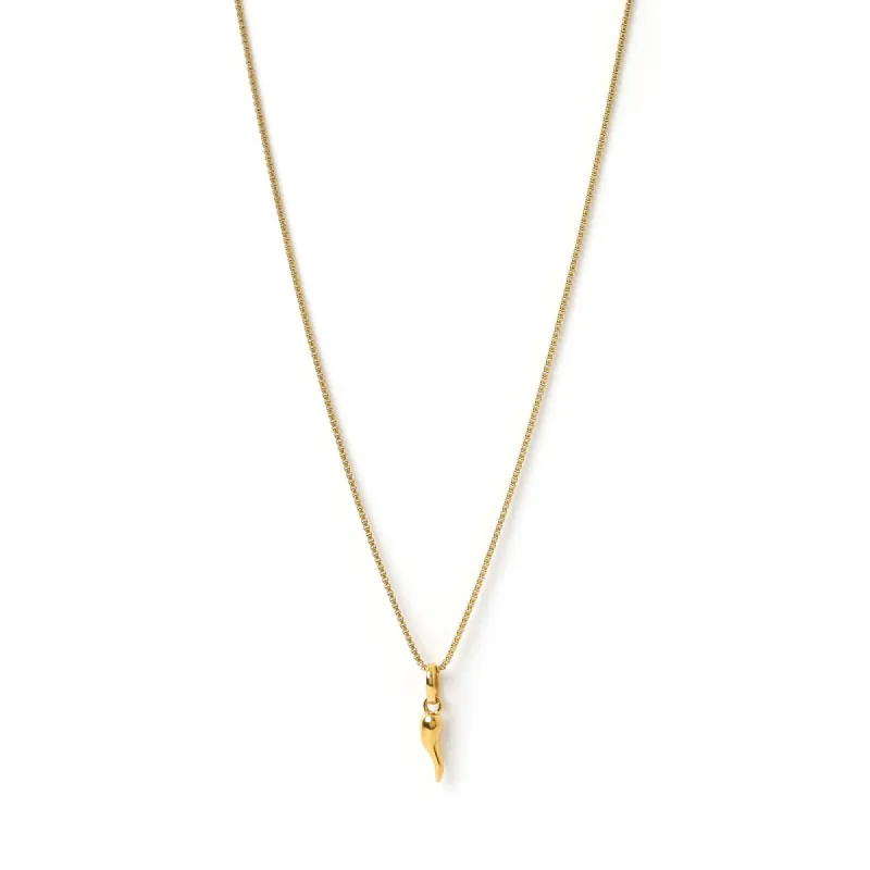 Cornicello Gold Charm Necklace - Small sold by Arms Of Eve