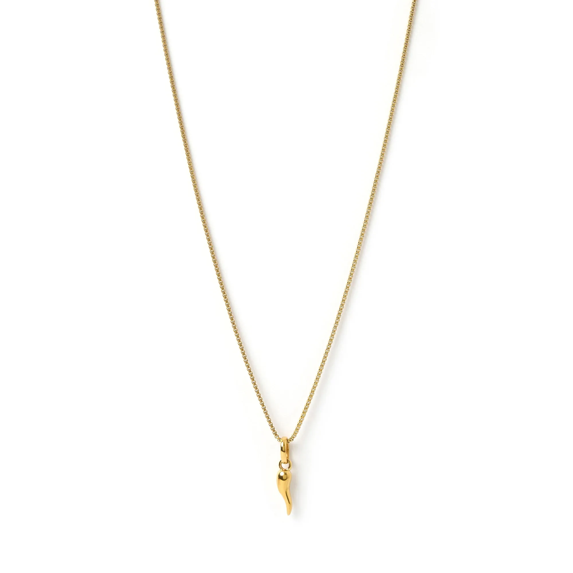 Cornicello Gold Charm Necklace - Small sold by Arms Of Eve