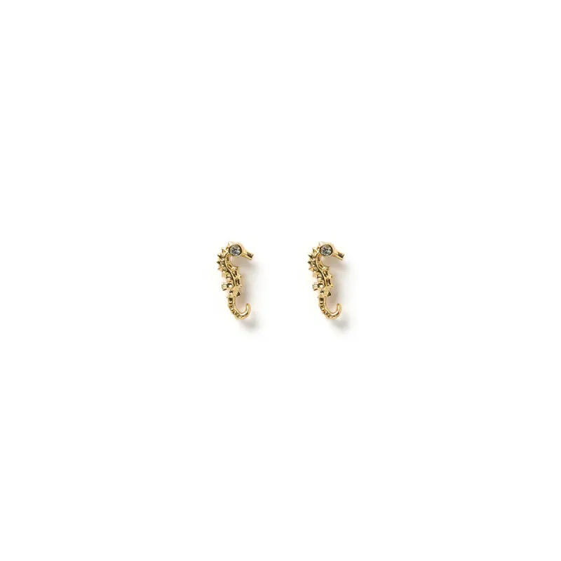 Seahorse Gold Studs sold by Arms Of Eve