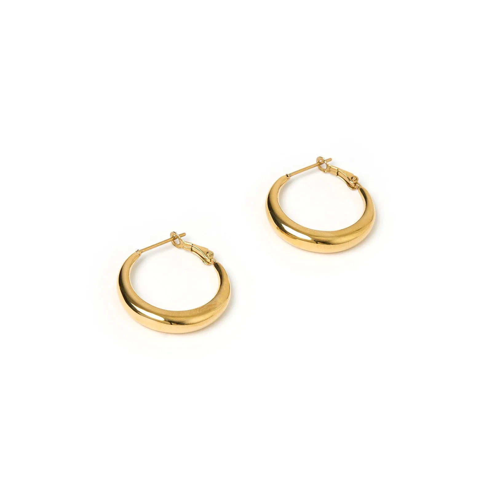 Riley Gold Hoop Earrings - Small sold by Arms Of Eve