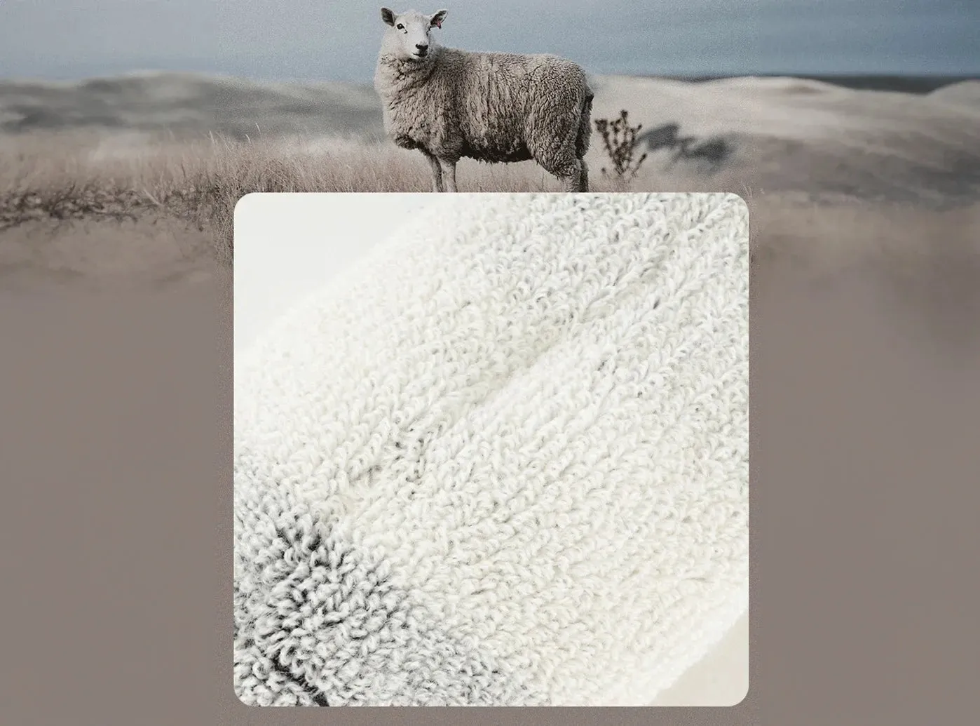 FitVille Cozy Crew Socks 2-Pair Bundle (Unisex) sold by FitVille product image thumbnail 4