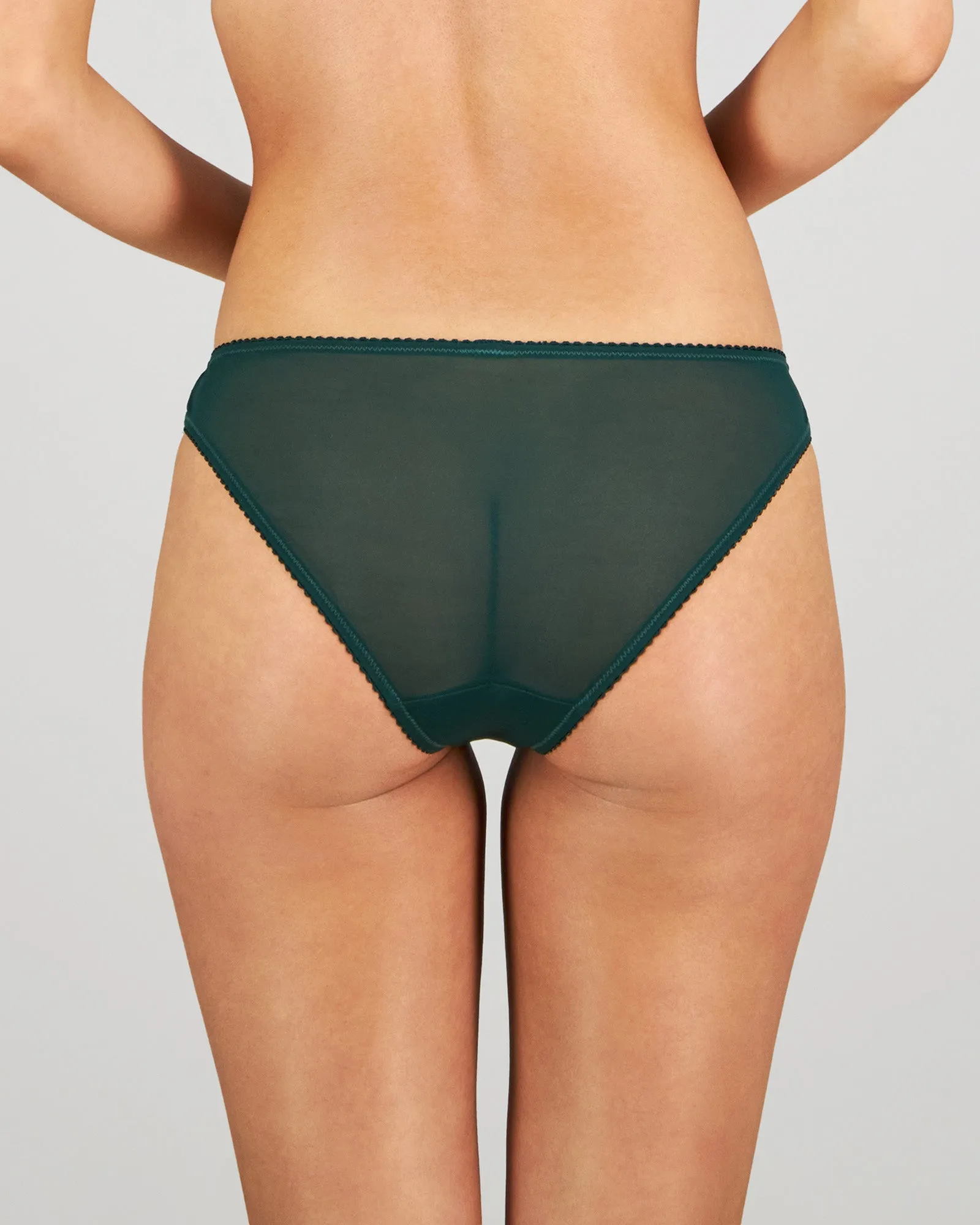 Sofia Bikini sold by Bendon Lingerie product image thumbnail 4