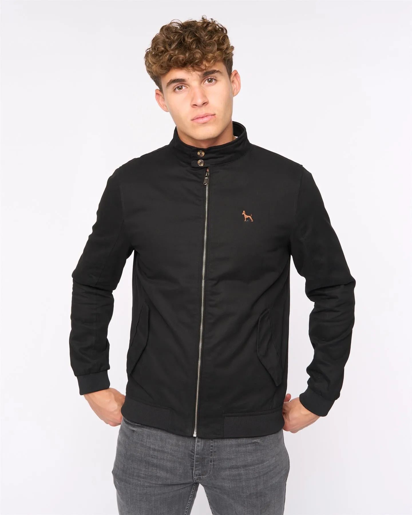 Tavistock Harrington Jacket Black sold by Bewley and Ritch product image thumbnail 2