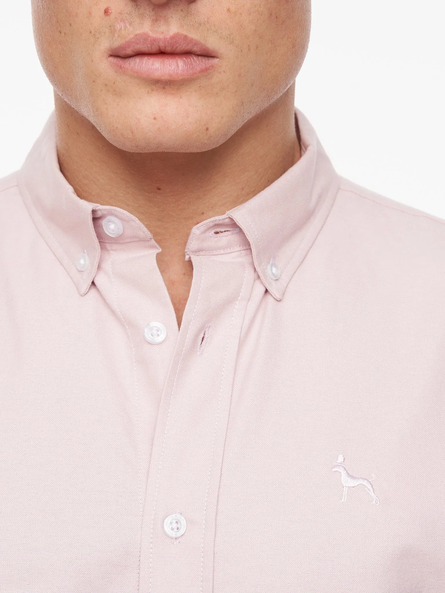 Balton Short Sleeve Oxford Shirt Light Pink sold by Bewley and Ritch product image thumbnail 5