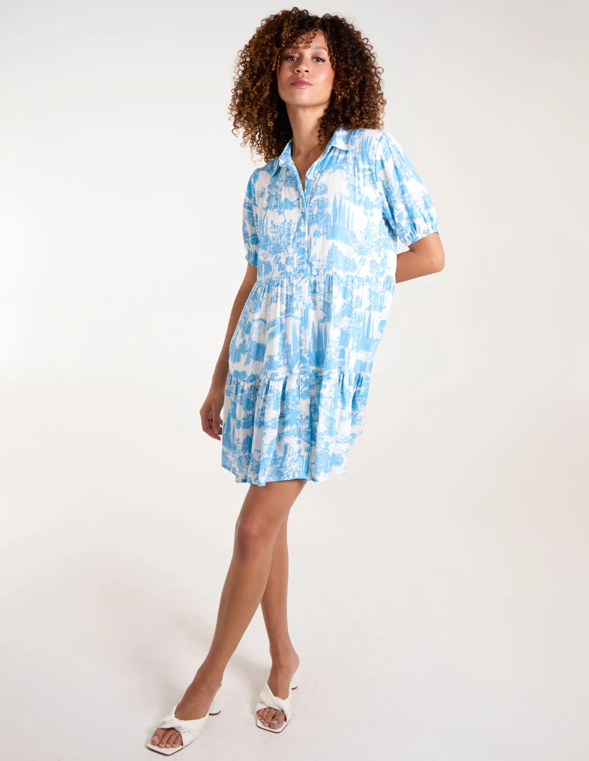 Mini Smock Shirt Dress sold by Blue Vanilla product image thumbnail 4