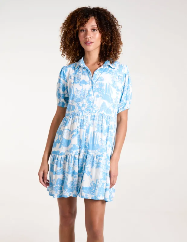 Mini Smock Shirt Dress sold by Blue Vanilla