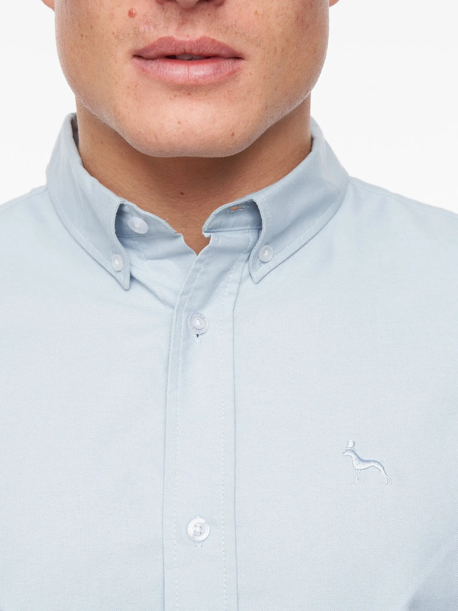 Ervin Oxford Shirt Light Blue sold by Brand Corner product image thumbnail 5