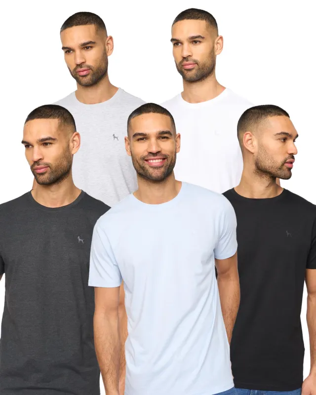Mens Levine T-Shirt 5pk Assorted sold by Brand Corner