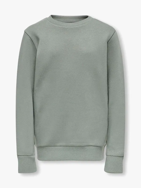 CERES CREW NECK GENSER - Castor Gray sold by Brando