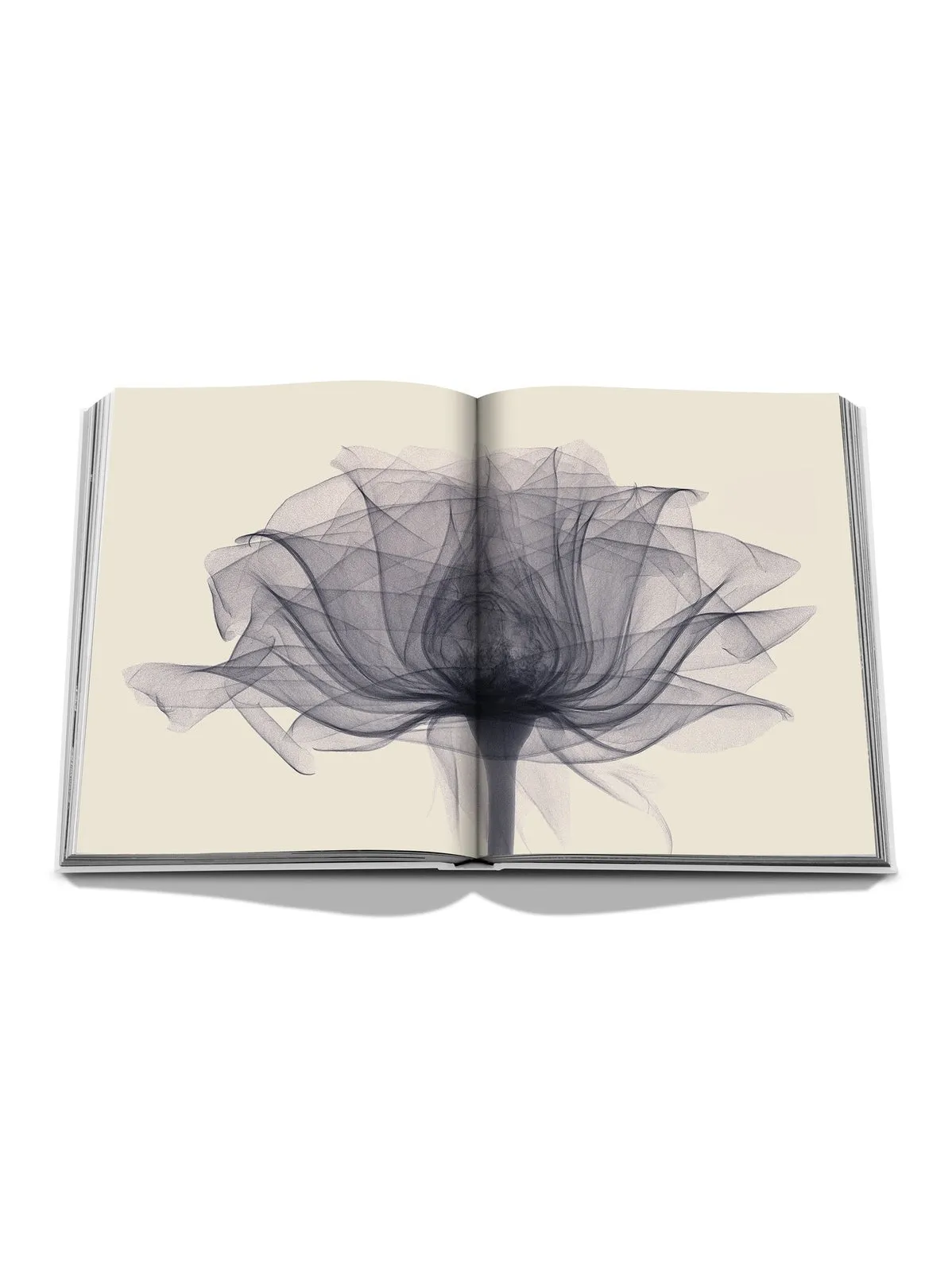 Flowers bok - pink sold by Brando product image thumbnail 5