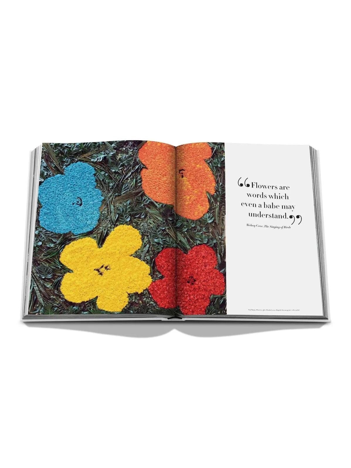 Flowers bok - pink sold by Brando product image thumbnail 2