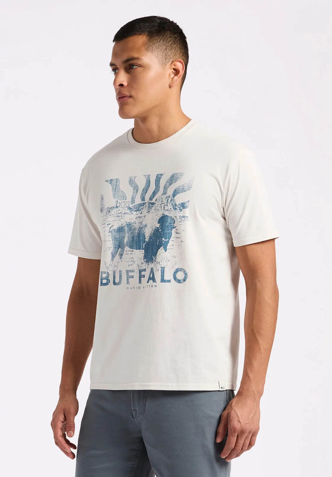 Tison Men's Graphic T-Shirt with Buffalo Print, Milk - BM24645 sold by Buffalo Jeans product image thumbnail 2