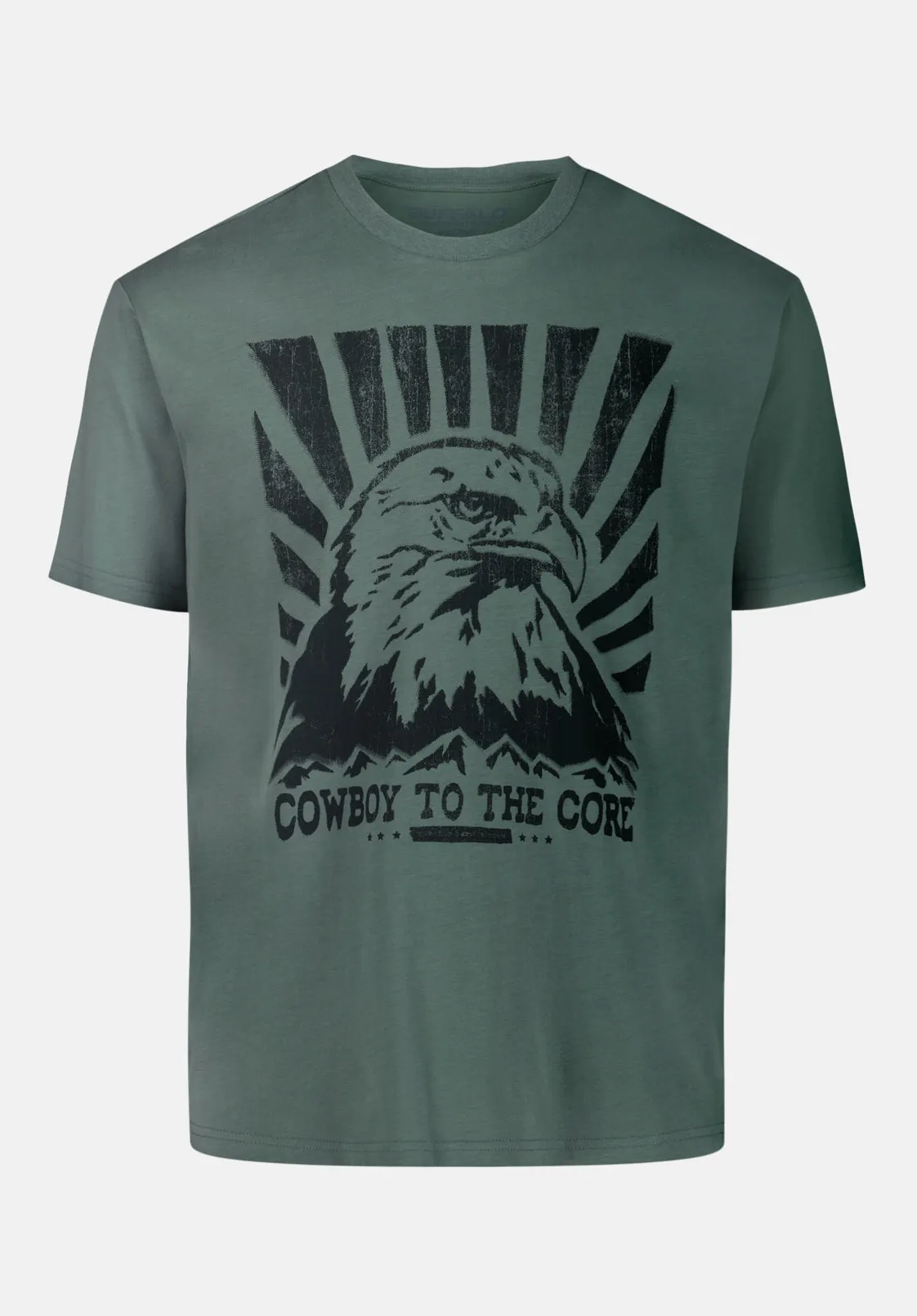 Trelan Men's Eagle Print Graphic Tee, Dark Forest - BM24725 sold by Buffalo Jeans product image thumbnail 5
