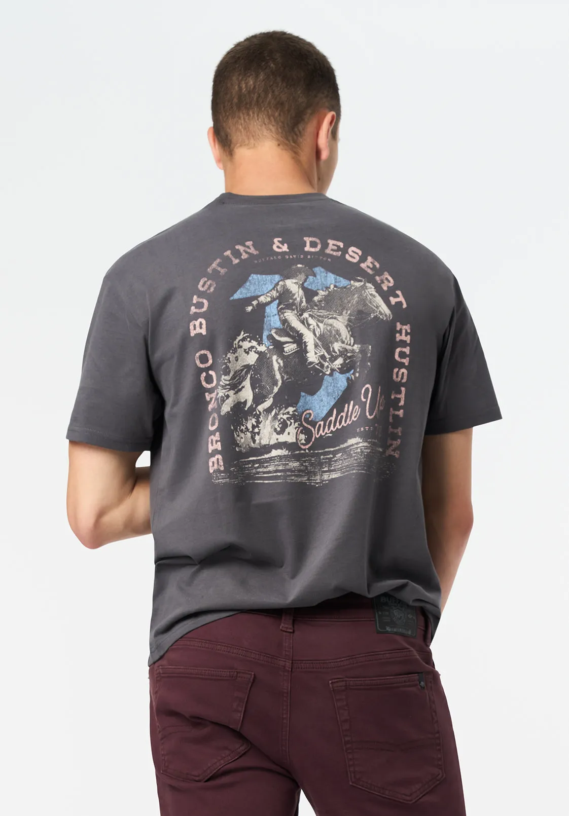 Tavian Men's Graphic T-Shirt with Desert Hustlin Print, Gray Pinstripe - BM24711 sold by Buffalo Jeans product image thumbnail 2