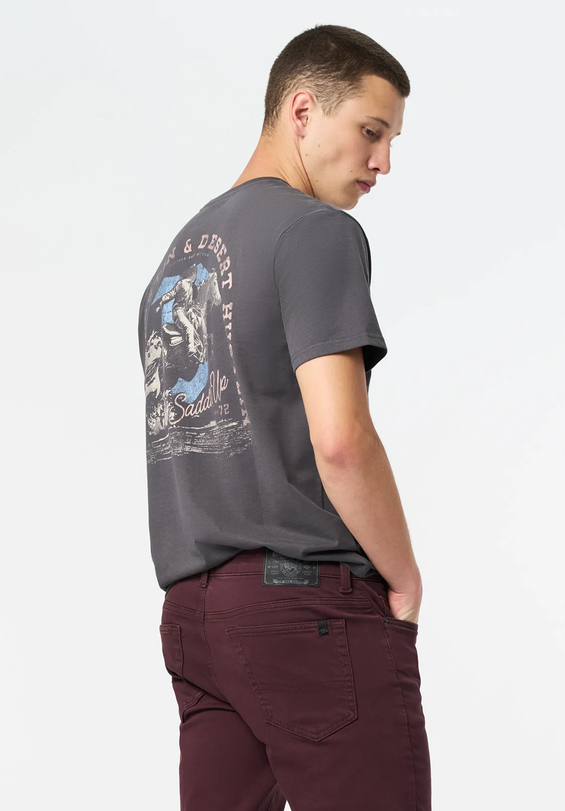 Tavian Men's Graphic T-Shirt with Desert Hustlin Print, Gray Pinstripe - BM24711 sold by Buffalo Jeans product image thumbnail 3